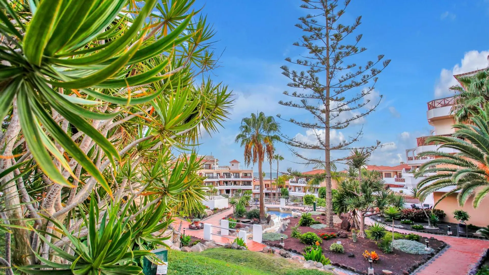 Las Meninas Tenerife San Miguel de Abona 0*,